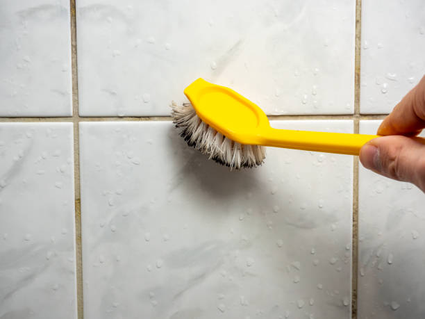 Best Residential Mold Removal  in Lake Oswego, OR