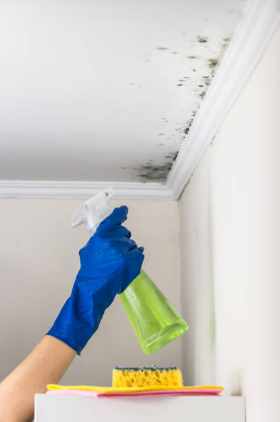 Lake Oswego, OR Mold Removal Company